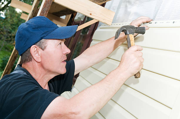 Best Custom Trim and Detailing for Siding  in Aurora, OH