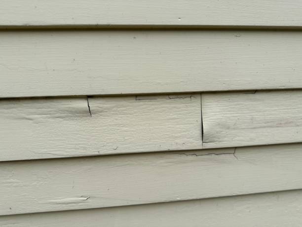 Best Storm Damage Siding Repair  in Aurora, OH